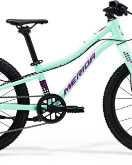 MERIDA MATTS J20+
