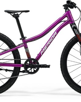 MERIDA MATTS J24+