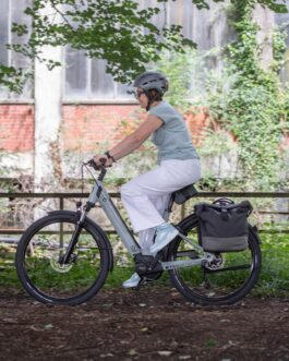 Moustache xroad open